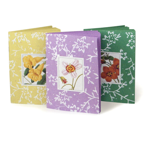 Quadernino 12x17 cm "Orto Botanico" in Cartapaglia con pagine colorate colori assortiti. - immagine 3
