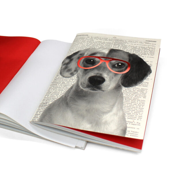 Quadernino 12x17 cm neutro "Cave Canem" in cartoncino e carta riciclata 4 sogg. assortiti. - immagine 3