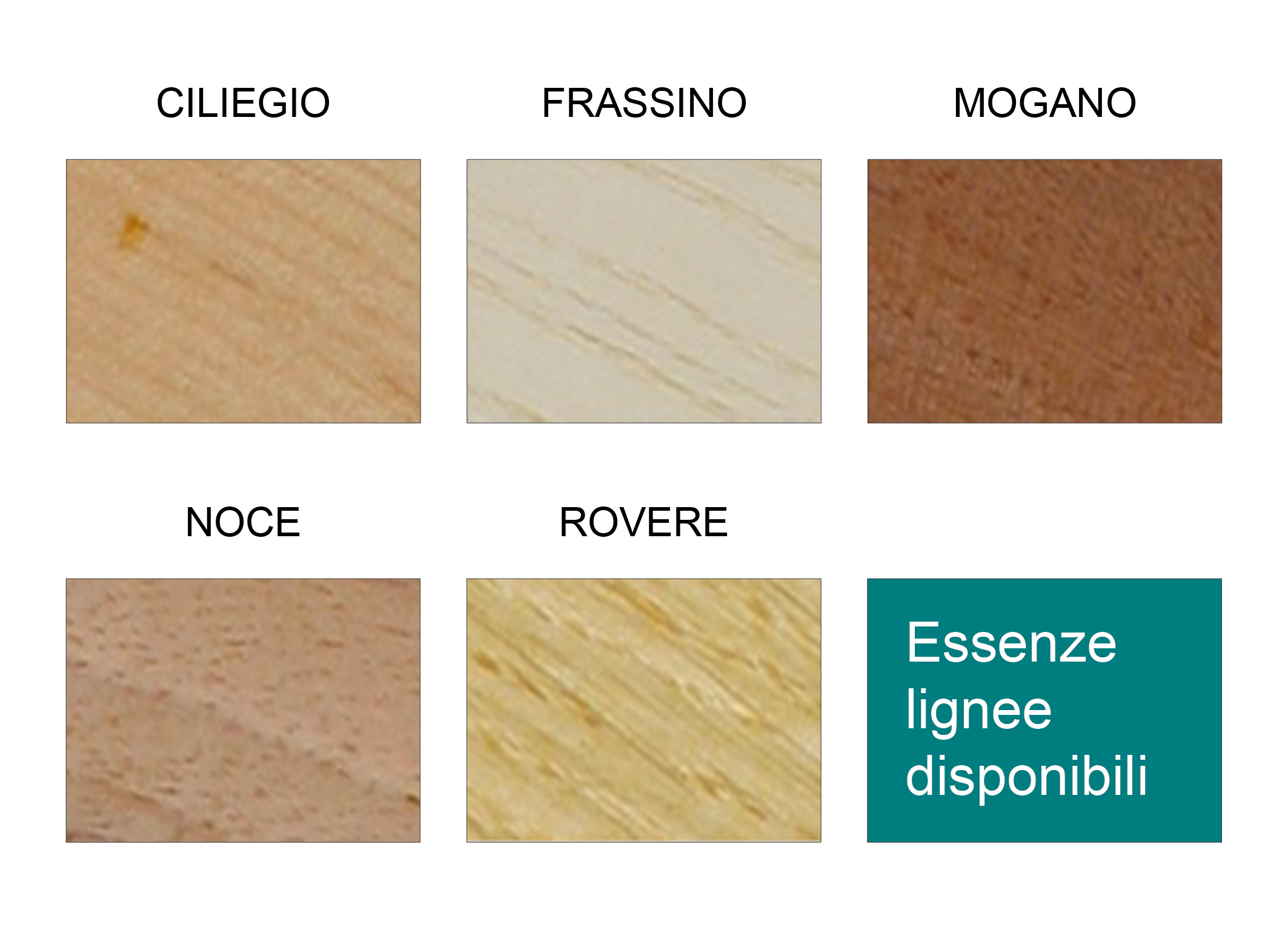 Essenzelignee Arbos essenze lignee woodbywood