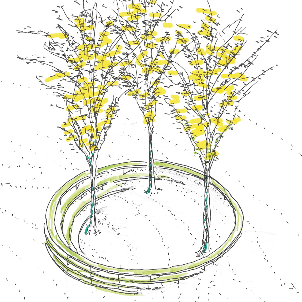 TREE ROOM_ARTE SELLA 2020 quadrata disegno dell'artista che rappresenta l'opera
