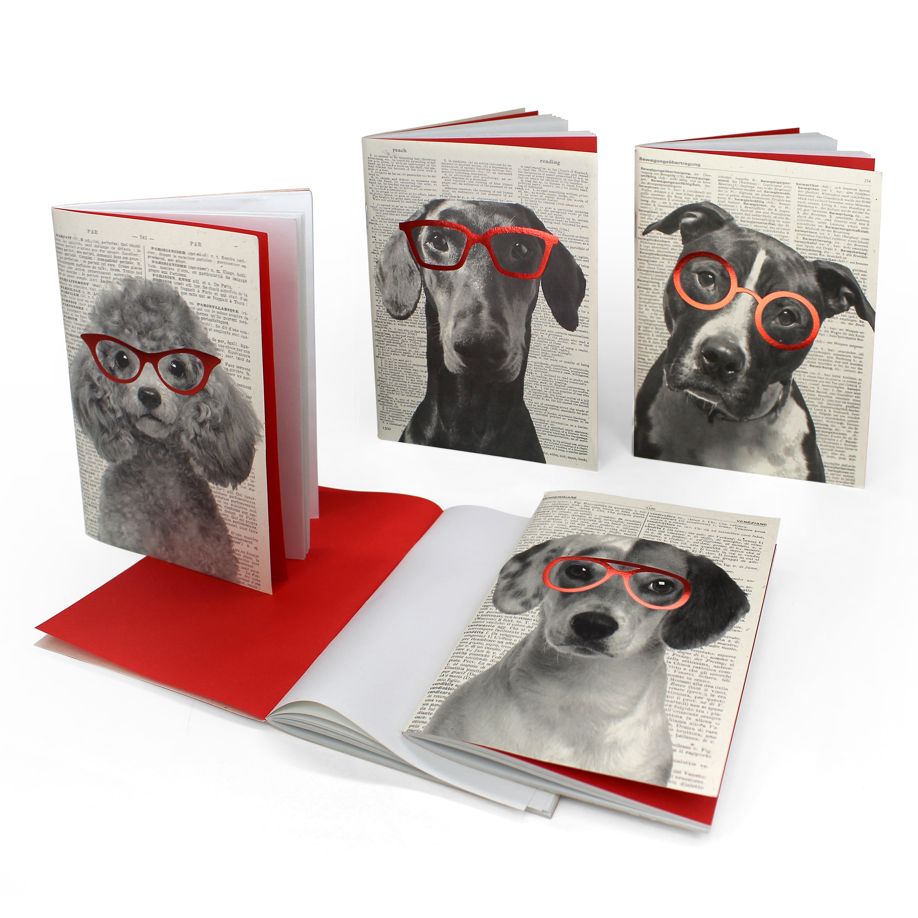 CAVE CANEM  small notebook